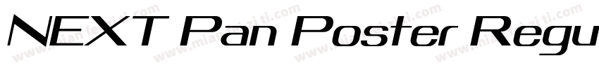 NEXT Pan Poster Regu字体转换